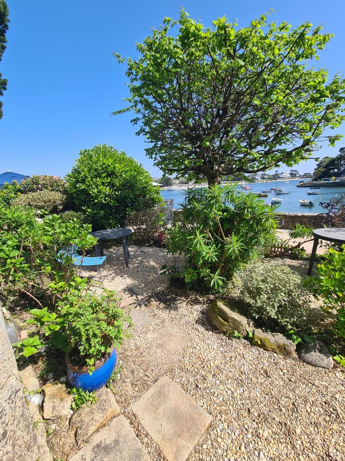 Le Ste Marine - Ptit Coin De Paradis Vue Sur Le Port - Wifi - Entree Autonome Combrit Buitenkant foto